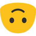 81